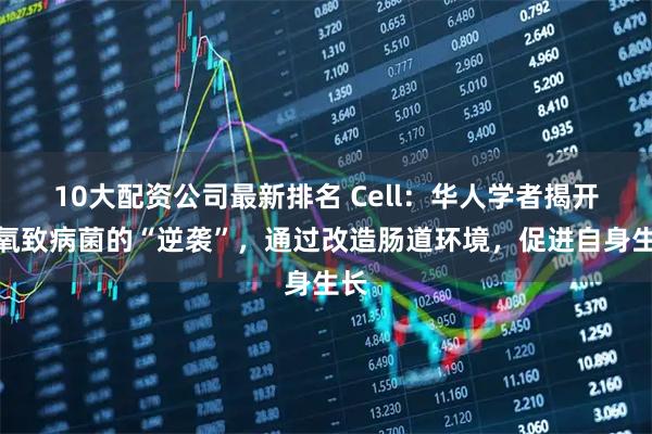 10大配资公司最新排名 Cell：华人学者揭开厌氧致病菌的“逆袭”，通过改造肠道环境，促进自身生长